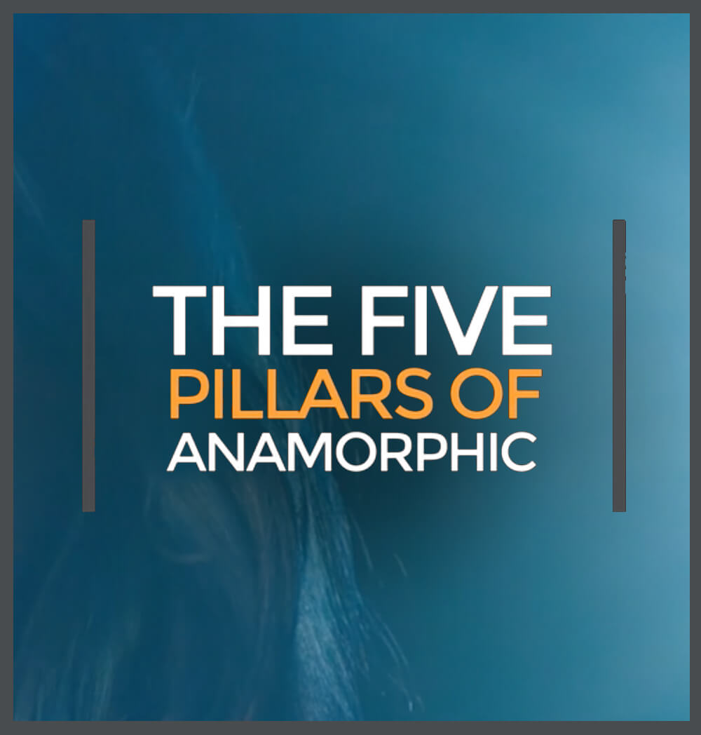education_spotlight_5-pillars-anamorphic_01